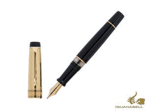 Aurora Optima Fountain Pen, Resin, Gold trim, G12-CDNS