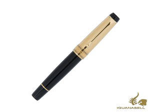 Stylo plume Aurora Optima, résine, garniture dorée, G12-CDNS