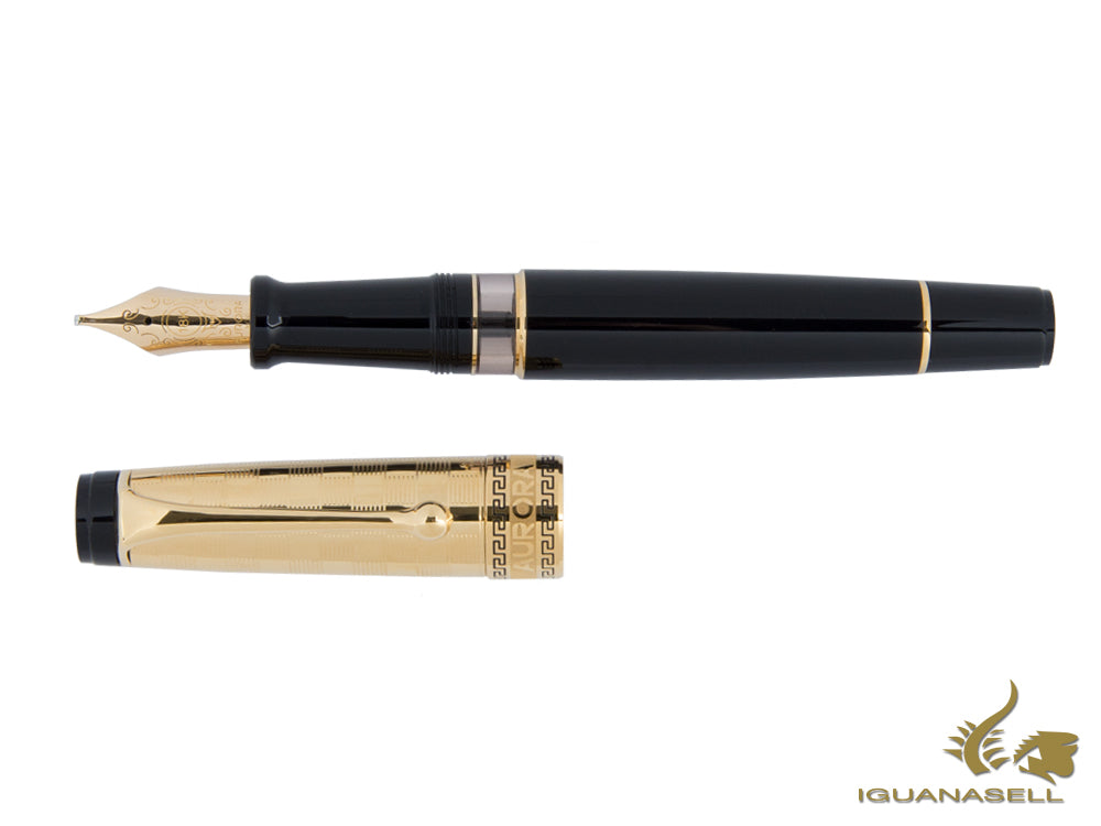 Aurora Optima Fountain Pen, Resin, Gold trim, G12-CDNS