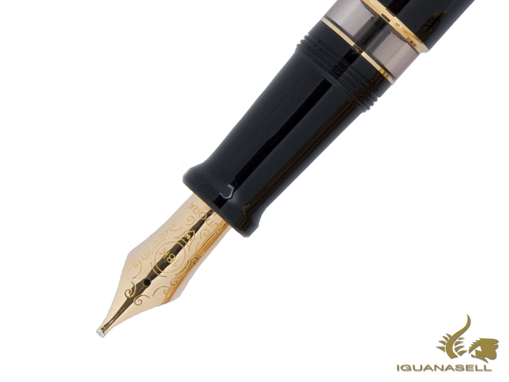 Aurora Optima Fountain Pen, Resin, Gold trim, G12-CDNS