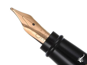 Stylo plume style Aurora - Noir et plaqué or - E12DN