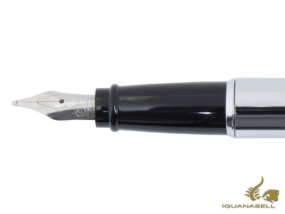 Aurora Style Fountain Pen - Shiny Chrome Cap and Barrel - E10