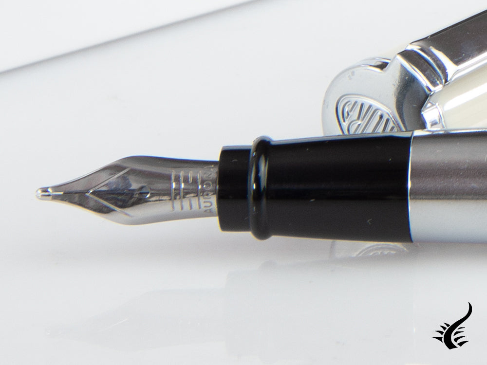 Aurora TU Fountain Pen, Resin, Chrome trim, T11W