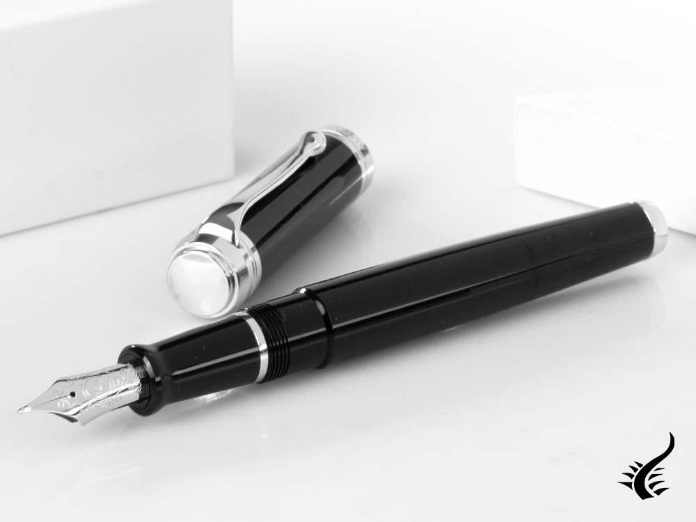 Aurora Talentum Big Fountain Pen, Resin, Chrome Trim, Black, d11N