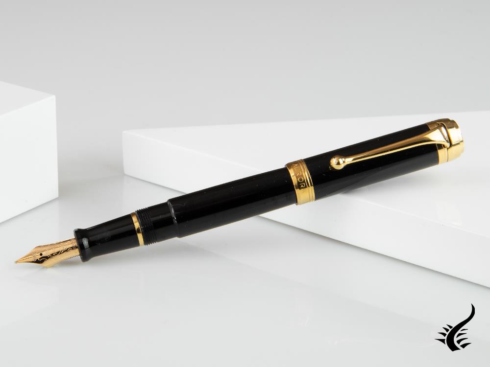 Aurora Talentum Big Fountain Pen, Resin, Gold trim, D12N