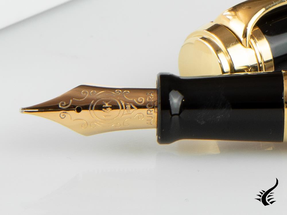 Aurora Talentum Big Fountain Pen, Resin, Gold trim, D12N