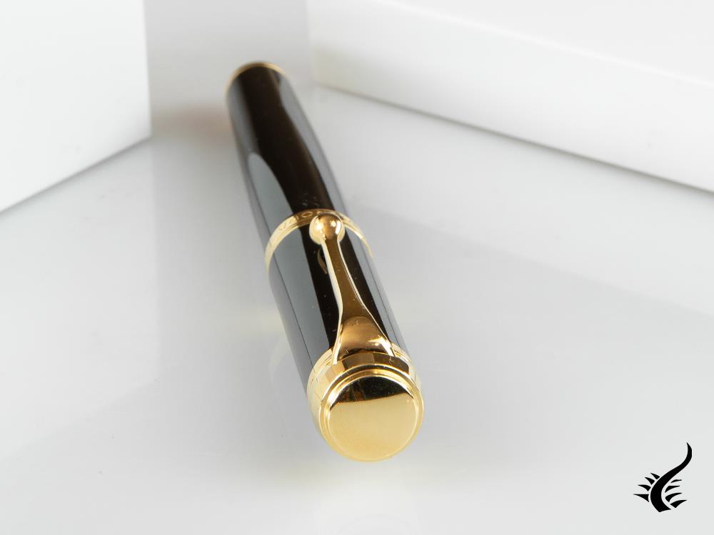 Aurora Talentum Big Fountain Pen, Resin, Gold trim, D12N