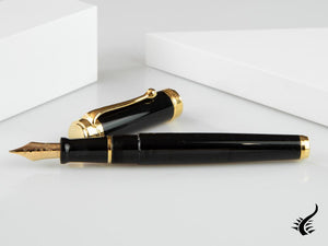 Aurora Talentum Big Fountain Pen, Resin, Gold trim, D12N