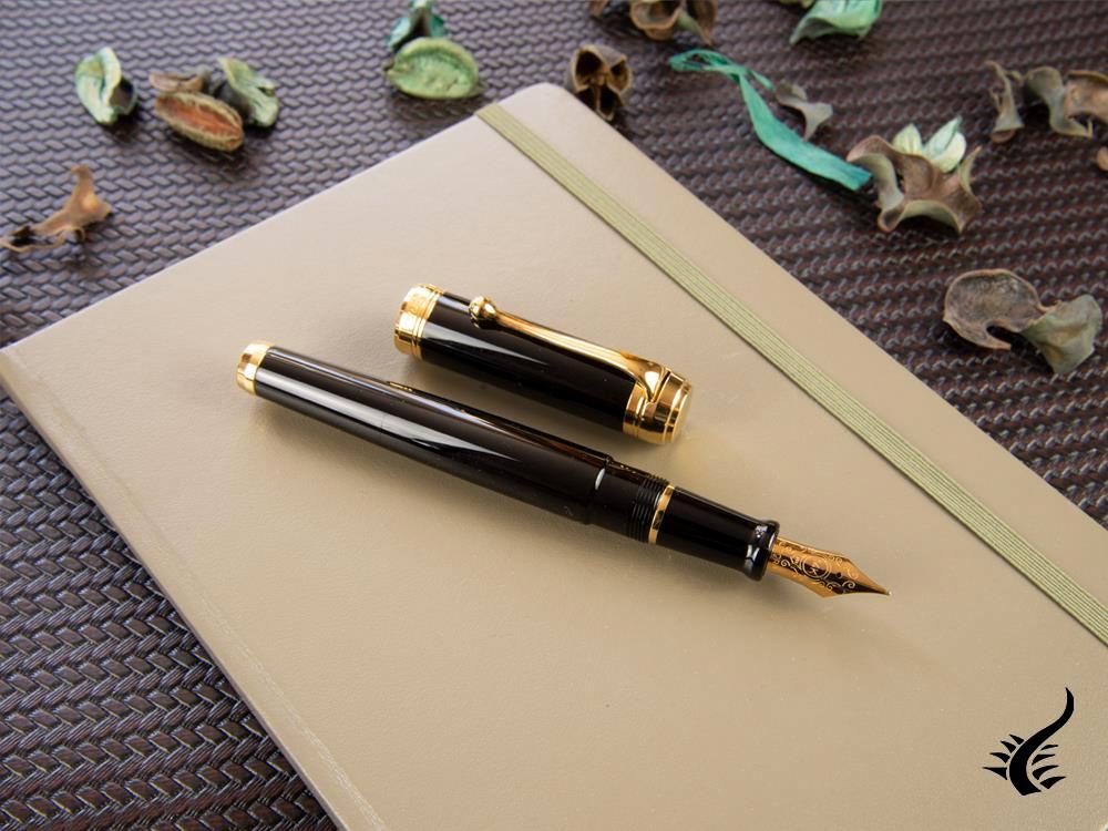 Aurora Talentum Big Fountain Pen, Resin, Gold trim, D12N