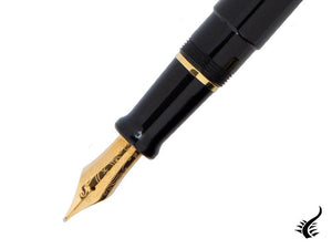 Aurora Talentum Big Fountain Pen, Resin, Gold trim, D12N