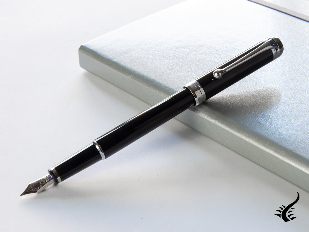 Aurora Talentum Finesse Fountain Pen -Black Resin & Chrome Trims- D13N