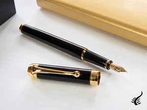 Aurora Talentum Finesse Fountain Pen, Resin, Gold trim, Black, D13-DN