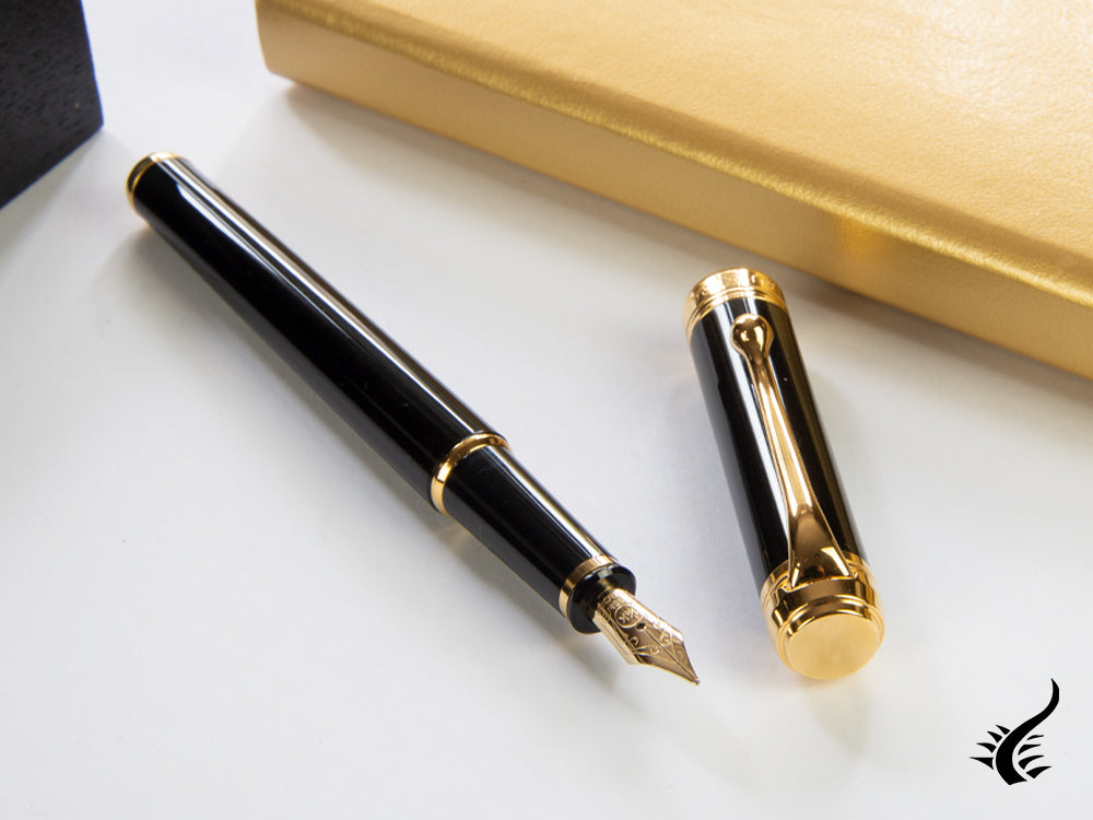 Aurora Talentum Finesse Fountain Pen, Resin, Gold trim, Black, D13-DN