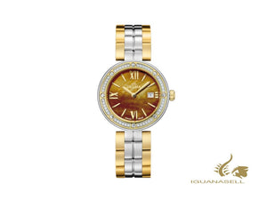 Delma Elegance Ladies Grenada Quartz Watch, Brown, 32 mm, 52711.611.1.566