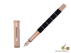 Graf von Faber-Castell Stylo Plume Anello Or Rose, Résine, 145780