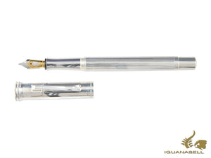 Stylo plume classique Graf von Faber-Castell, finition platine