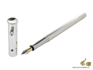 Stylo plume classique Graf von Faber-Castell, finition platine