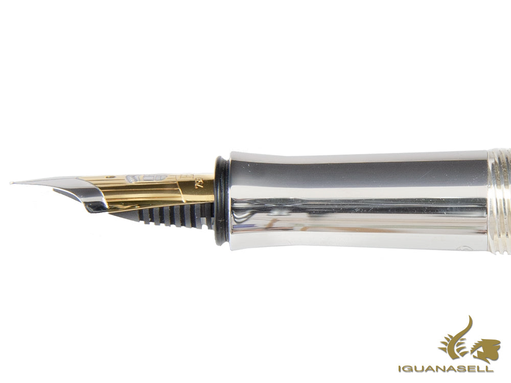 Stylo plume classique Graf von Faber-Castell, finition platine