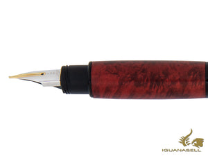 Stylo plume Lamy Accent Brillant BY, laque, bois de bruyère, 1211472