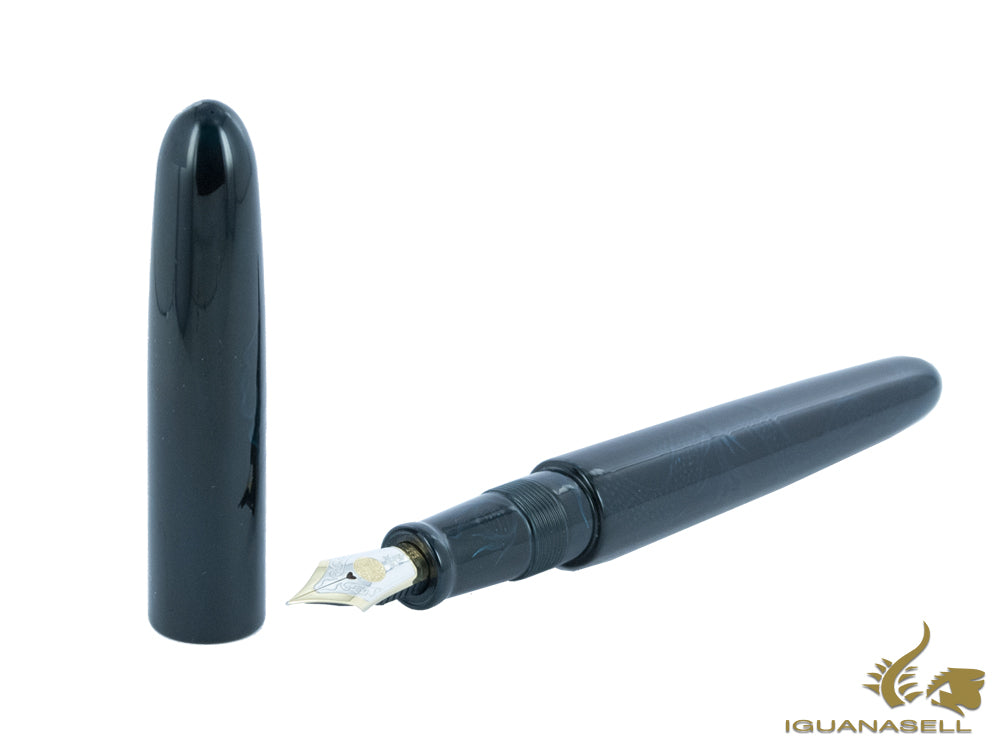 Nakaya Cigar Ascending Dragon I-Tamesukashi Fountain Pen, Bicolor nib