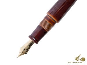 Nakaya Cigar Stylo plume portable Toki-Tamenuri Ébonite