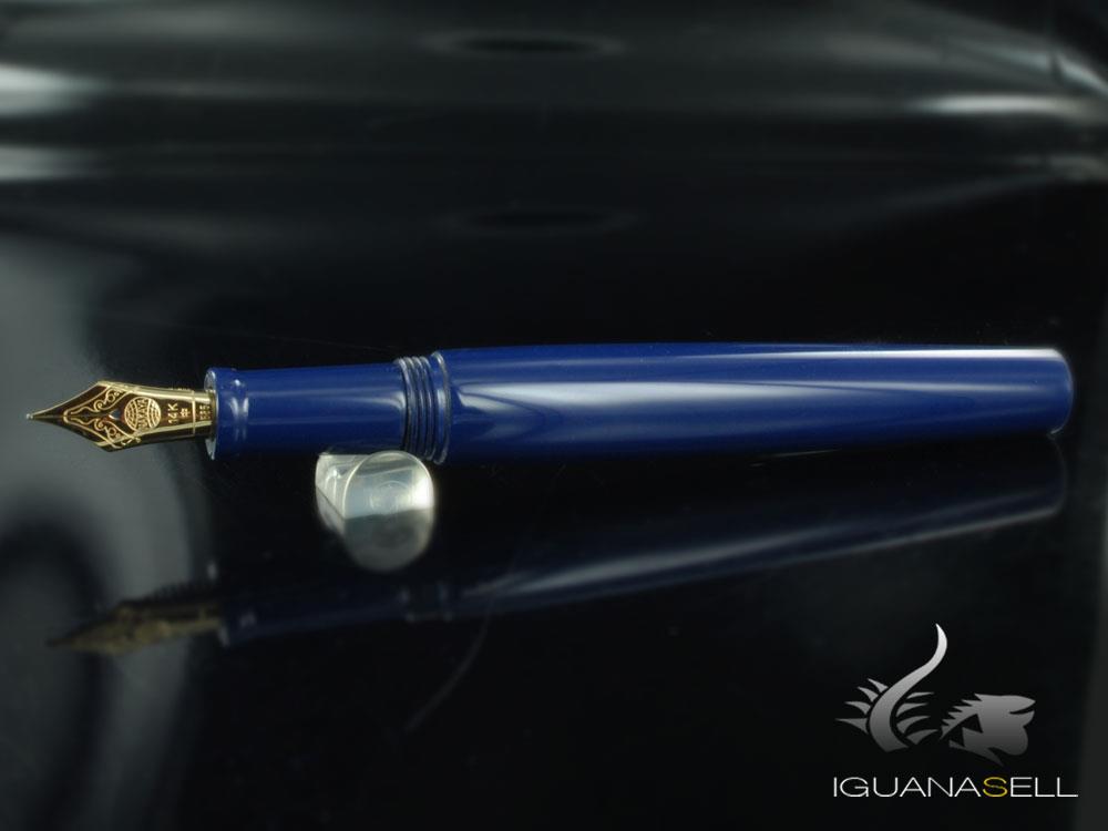 Stylo plume Nakaya Neo-Standard Kikyo, ébonite