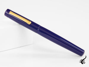 Stylo plume Nakaya Neo-Standard Shobu, ébonite