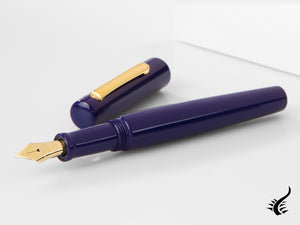 Stylo plume Nakaya Neo-Standard Shobu, ébonite