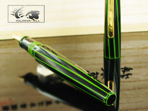 Nakaya Writer Decapod (TW) Midori-Tamenuri Fountain Pen, Ebonite