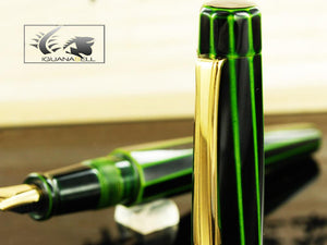 Nakaya Writer Decapod (TW) Midori-Tamenuri Fountain Pen, Ebonite