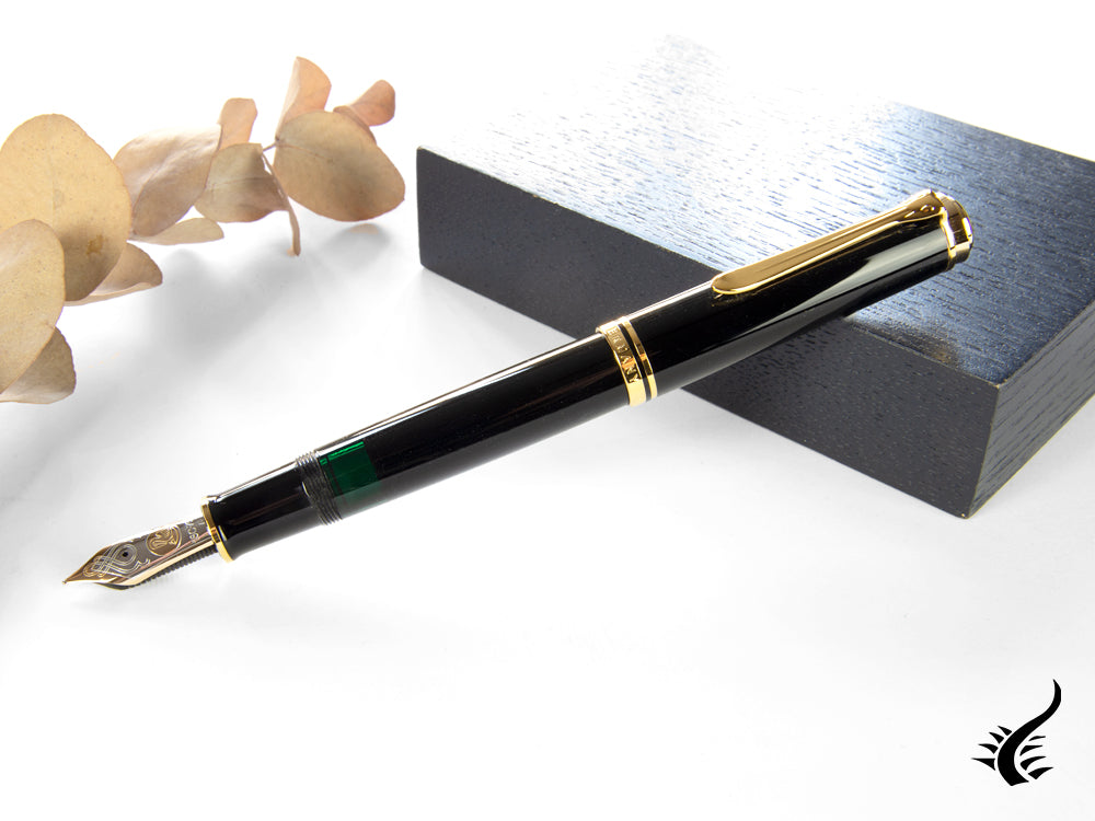 Pelikan M1000 Fountain Pen, Black Resin, Gold trim, 987396