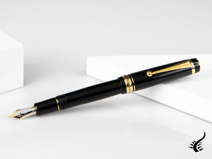 Stylo plume Pilot Custom 845, ébonite, attributs dorés, noir, NC845N