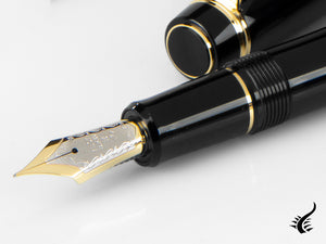 Pilot Custom 845 Fountain Pen, Ebonite, Gold trim, Black, NC845N