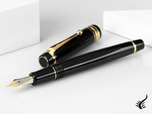 Stylo plume Pilot Custom 845, ébonite, attributs dorés, noir, NC845N