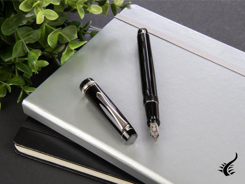 Pilot Custom Heritage 91 Fountain Pen, Resin, Chrome, Black, NH91N