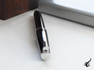 Stylo plume Pilot Falcon, noir, plume flexible, Falcon-Black