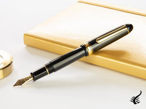 Platinum Century Fountain Pen, Resin, Gold trim, PNBM-20000-1