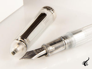 Stylo plume Platinum Century Nice Pure, démonstrateur, PNB-20000R-4