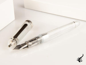 Platinum Century Nice Pure Fountain Pen, Demonstrator, PNB-20000R-4