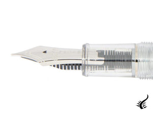 Platinum Century Nice Pure Fountain Pen, Demonstrator, PNB-20000R-4