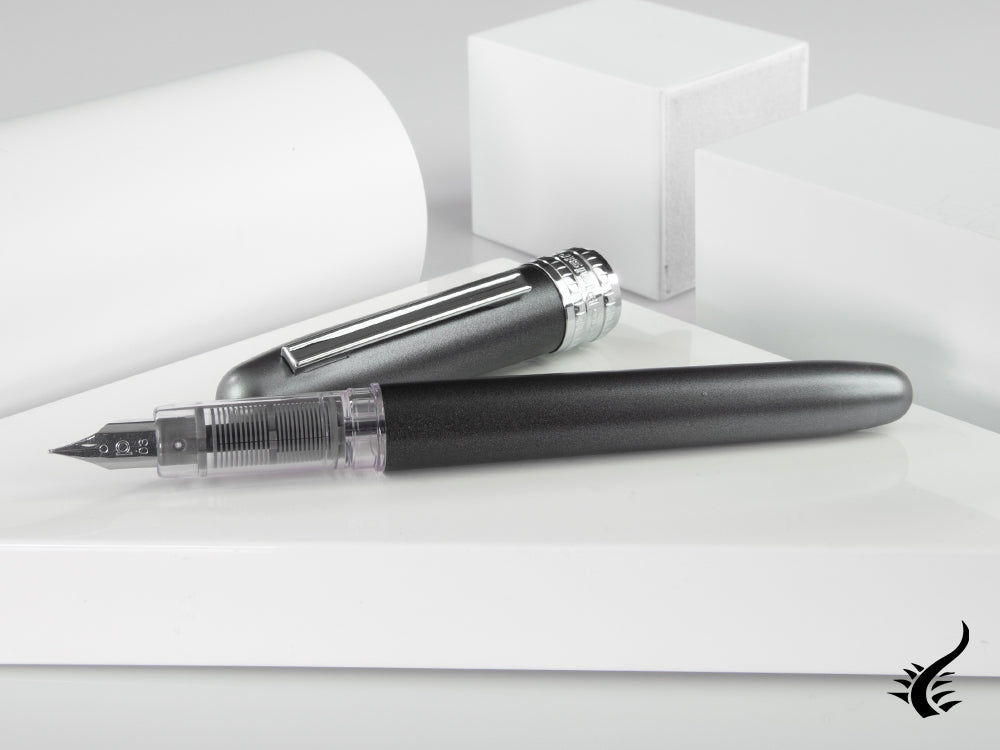 Platinum Plaisir Night Grey Fountain Pen, Limited edition, PGB-3000D-79