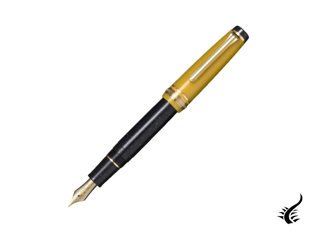 Sailor PG Stellar Black Hole Fountain Pen, Resin, Limited Ed., 11-8682